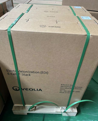 흐름 5.0 M3/H Veolia Suez EDI 스택 E-Cell-3X Suez 초순수 공급용