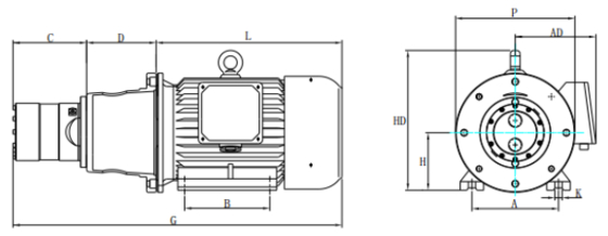 DHP 11 계기 피스톤 펌프 11m3/h 80Bar 고압 산업용 RO