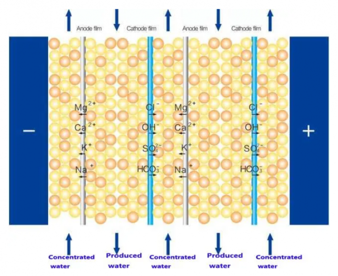 산업용 듀플 패스 RO 1500L/H EDI 초순수 기계 1