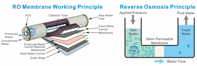 5TPH 7.4kW-380-415V 2xSS304 탱크 소금 물 역오스모스식물 0